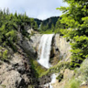 Meet your Posher, Dylan